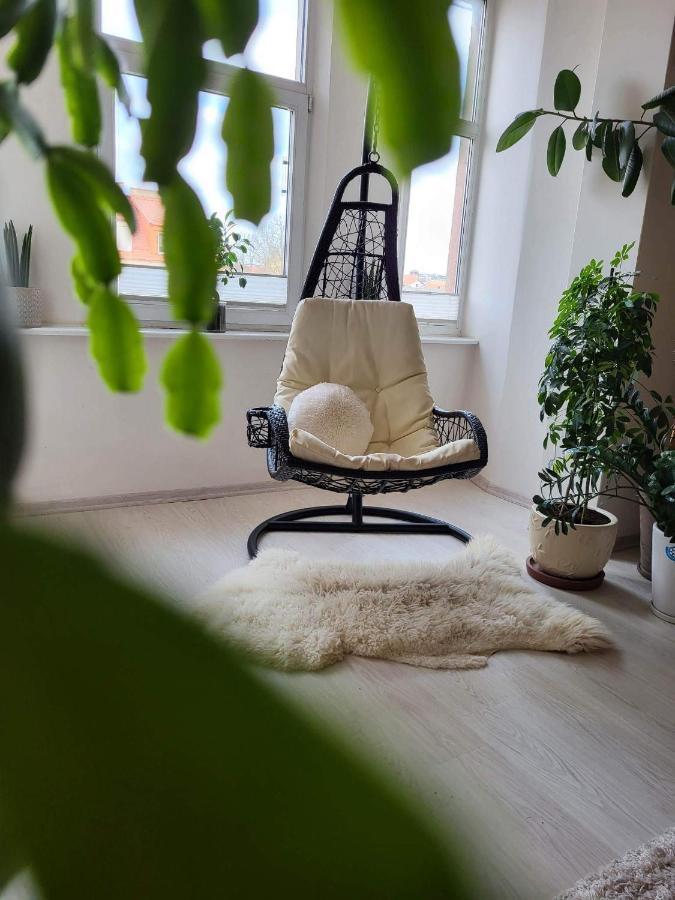 Cozy 2 Room Apartment In The Oldtown Of Klaipėda Dış mekan fotoğraf